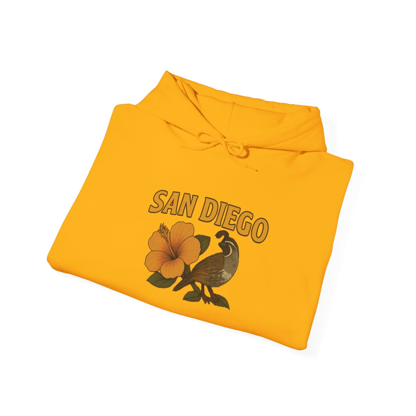SAN DIEGO Unisex Hoodie – Cozy Sweatshirt, Casual Travel Souvenir, Relaxed Streetwear Gift for Nature & City Lovers
