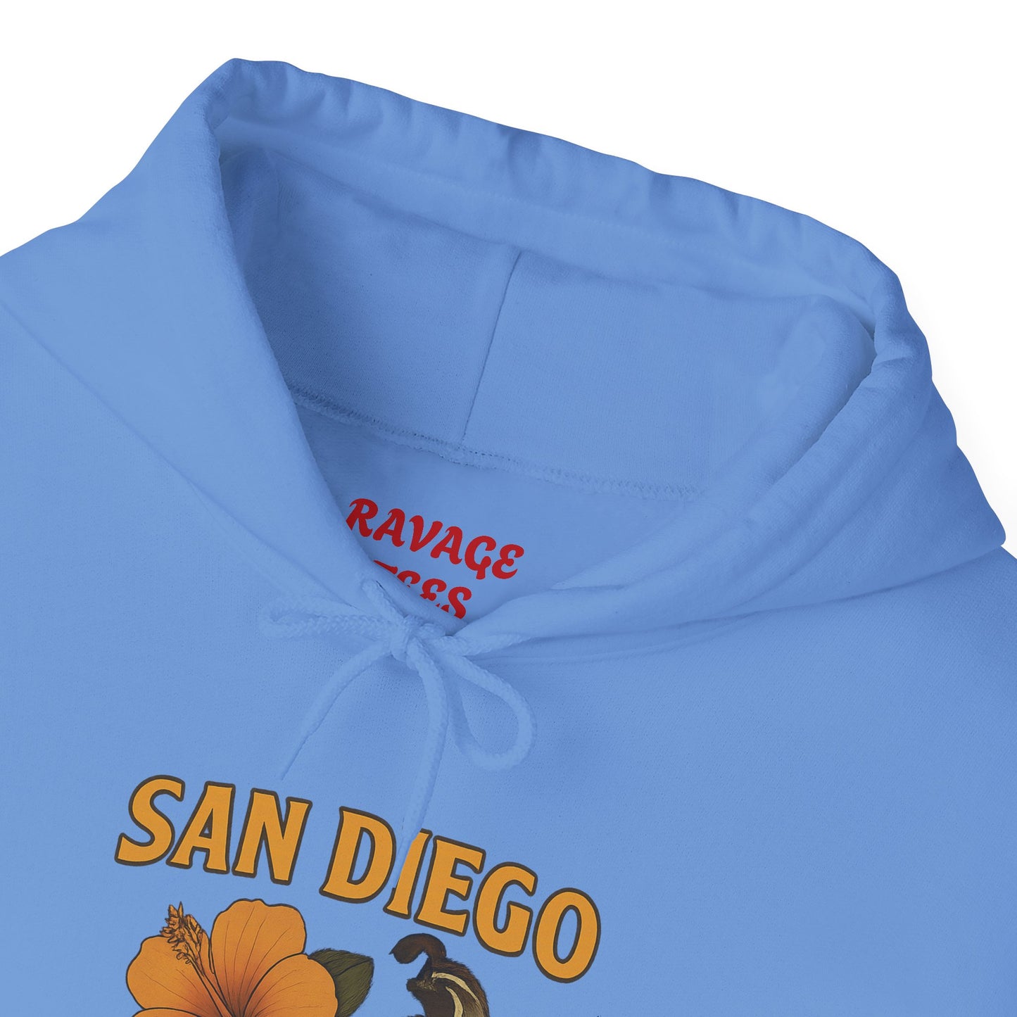 SAN DIEGO Unisex Hoodie – Cozy Sweatshirt, Casual Travel Souvenir, Relaxed Streetwear Gift for Nature & City Lovers