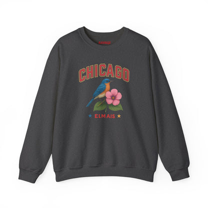 RAVAGE Chicago City Vibe Unisex Crewneck Sweatshirt