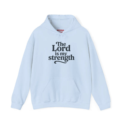 Faith-Inspired Hooded Sweatshirt, Cozy Christian Apparel, Gift for Believers, Inspirational Hoodie, Church Outing Wear