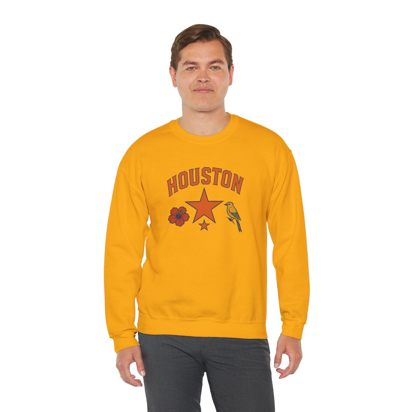 RAVAGE Houston(H-Town) Vibe Unisex Crewneck Sweatshirt