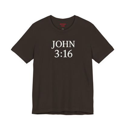 **JOHN 3:16