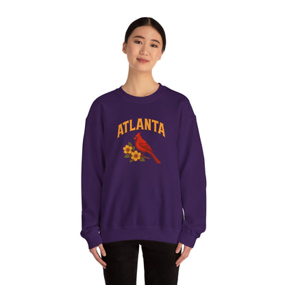 RAVAGE  Atlanta's City Vibe Unisex Crewneck Sweatshirt-Cozy Street gear