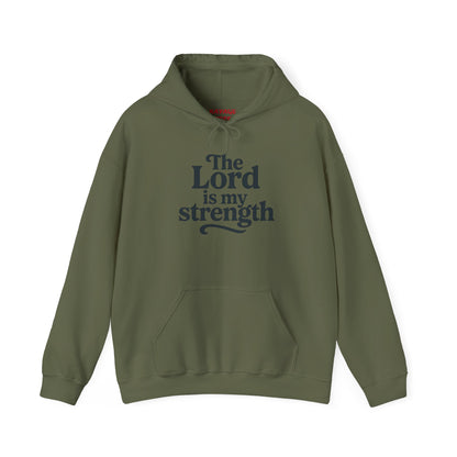 Faith-Inspired Hooded Sweatshirt, Cozy Christian Apparel, Gift for Believers, Inspirational Hoodie, Church Outing Wear