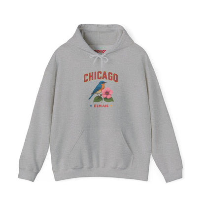 Chicago "The Windy City" Unisex Hoodie – Cozy Sweatshirt, Casual Travel Souvenir, Relaxed Streetwear Gift for Nature & City Lovers