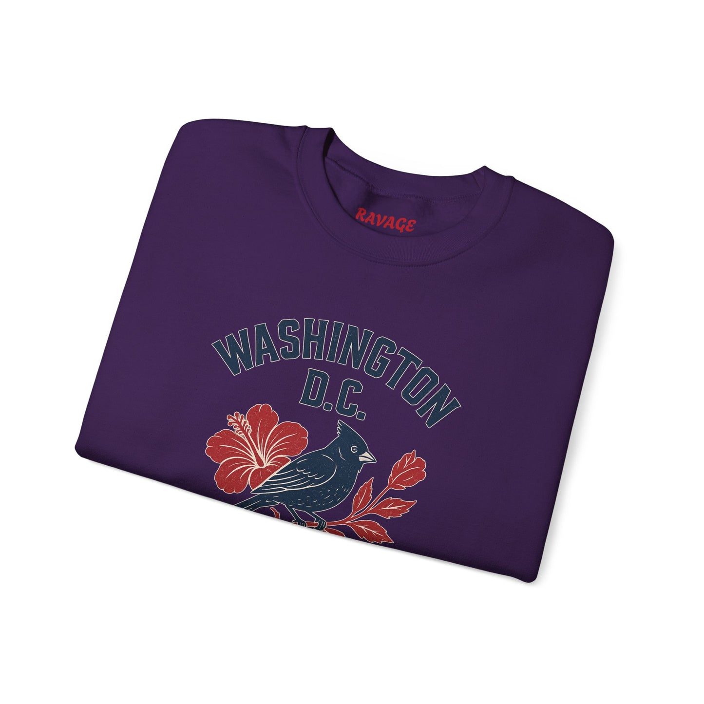 RAVAGE Washington, DC City Vibe Unisex Crewneck Sweatshirt