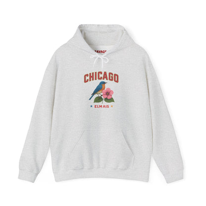 Chicago "The Windy City" Unisex Hoodie – Cozy Sweatshirt, Casual Travel Souvenir, Relaxed Streetwear Gift for Nature & City Lovers