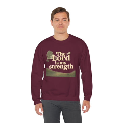 Faith-Inspired Crewneck Sweatshirt, Christian Apparel, Inspirational Gift, Religious Fashion, Daily Comfort, Cozy Sweatshirt