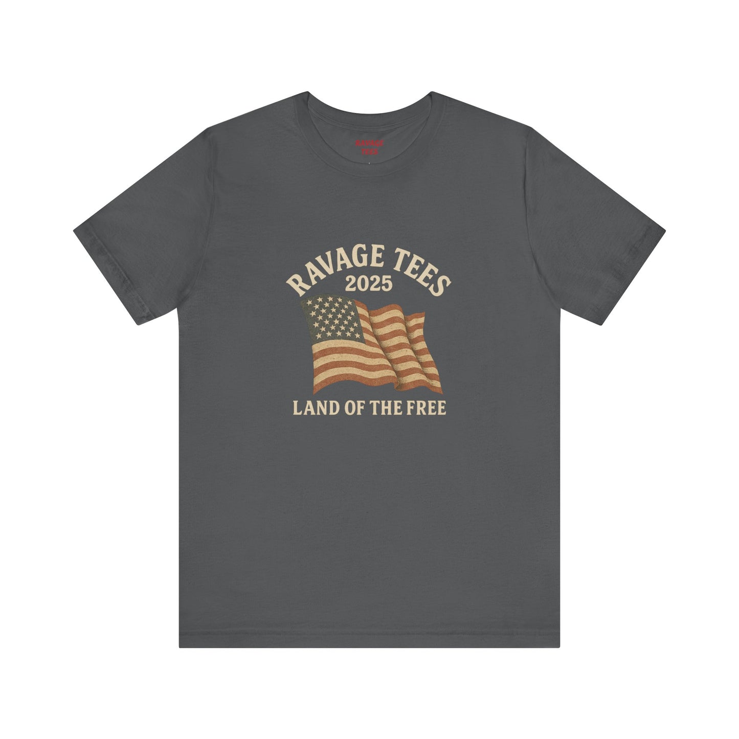 RaVage Vintage Tee: "Land of the Free"