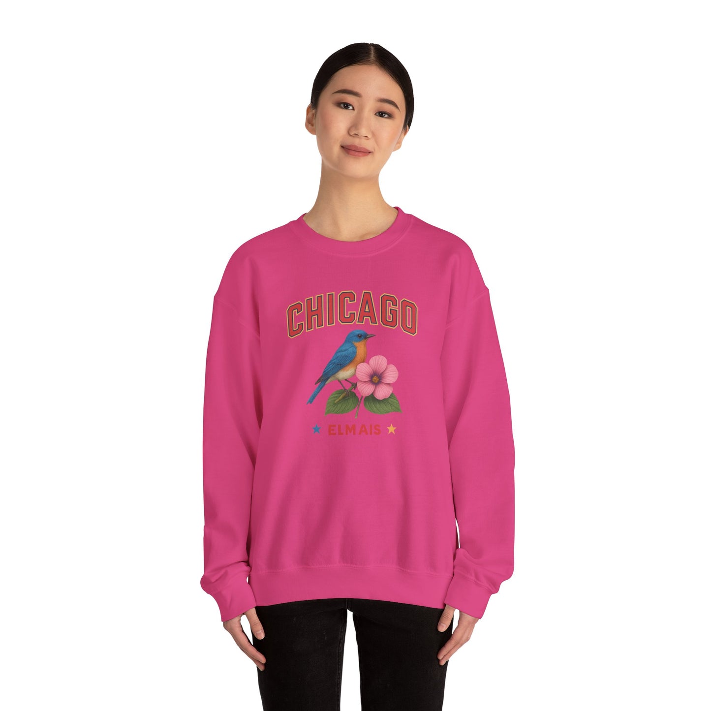 RAVAGE Chicago City Vibe Unisex Crewneck Sweatshirt