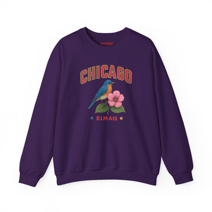 RAVAGE Chicago City Vibe Unisex Crewneck Sweatshirt