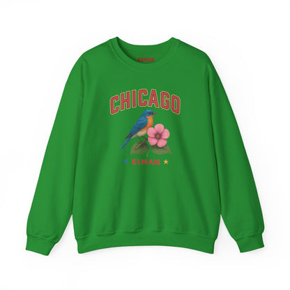 RAVAGE Chicago City Vibe Unisex Crewneck Sweatshirt