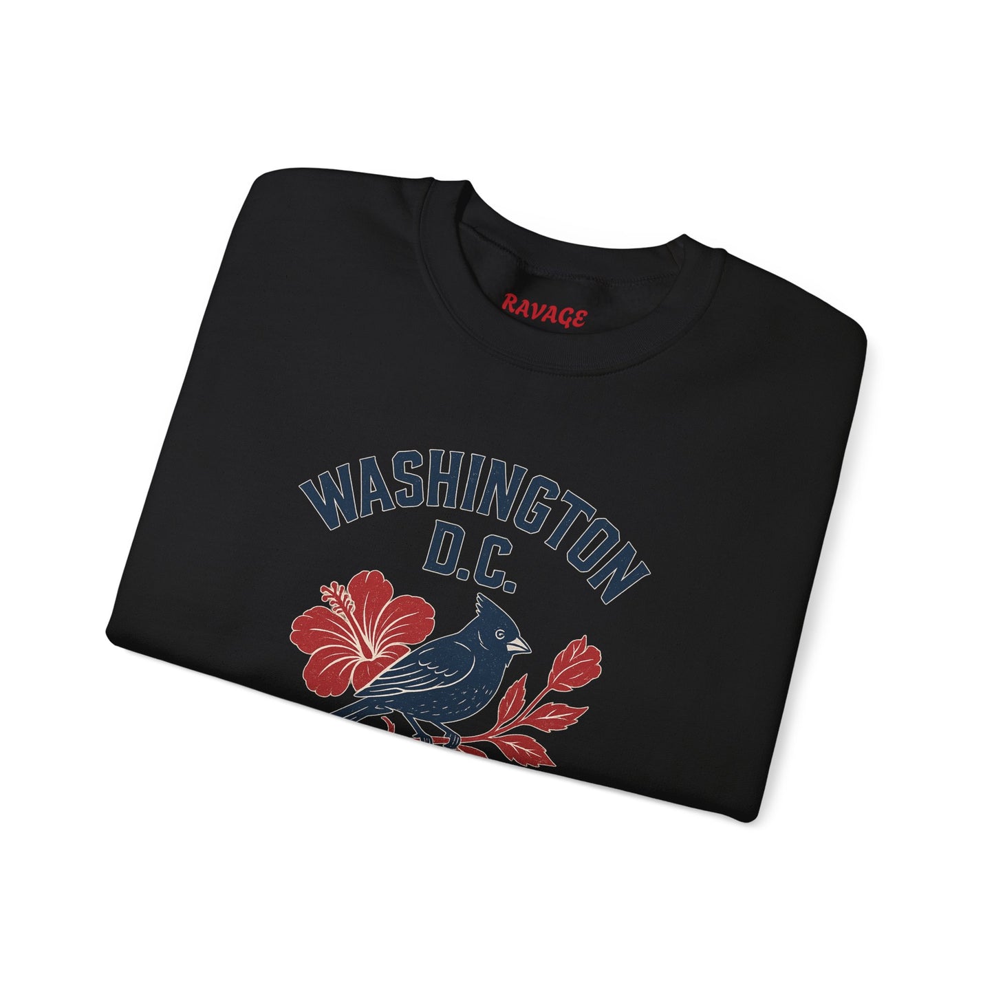 RAVAGE Washington, DC City Vibe Unisex Crewneck Sweatshirt