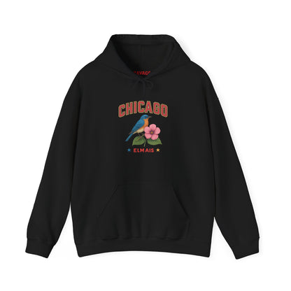 Chicago "The Windy City" Unisex Hoodie – Cozy Sweatshirt, Casual Travel Souvenir, Relaxed Streetwear Gift for Nature & City Lovers