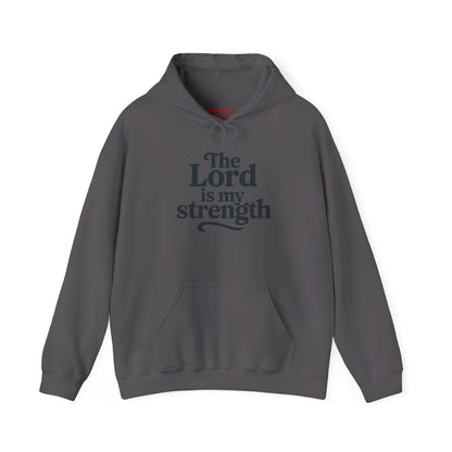 Faith-Inspired Hooded Sweatshirt, Cozy Christian Apparel, Gift for Believers, Inspirational Hoodie, Church Outing Wear