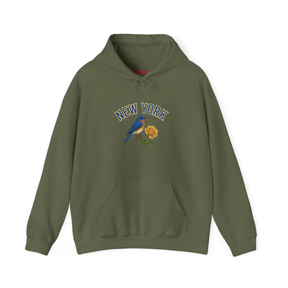 NEW YORK "THE EMPIRE STATE" Unisex Hoodie – Cozy Sweatshirt, Casual Travel Souvenir, Relaxed Streetwear Gift for Nature & City Lovers
