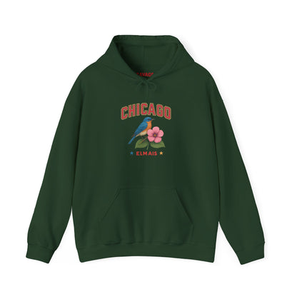 Chicago "The Windy City" Unisex Hoodie – Cozy Sweatshirt, Casual Travel Souvenir, Relaxed Streetwear Gift for Nature & City Lovers