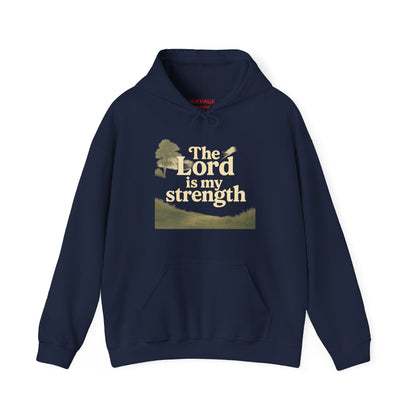 Faith-Inspired Hooded Sweatshirt, Cozy Christian Apparel, Gift for Believers, Inspirational Hoodie, Church Outing Wear