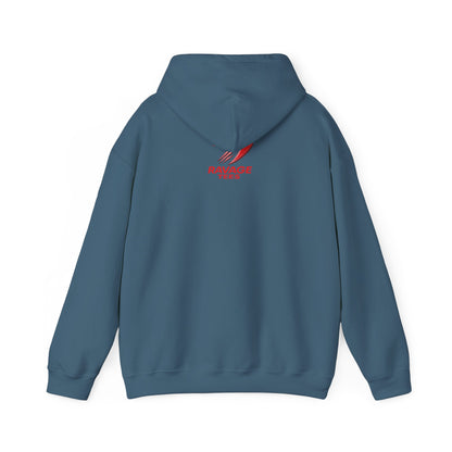 Funny Sloth Hoodie: I'm Not Lazy, Energy Saving Mode