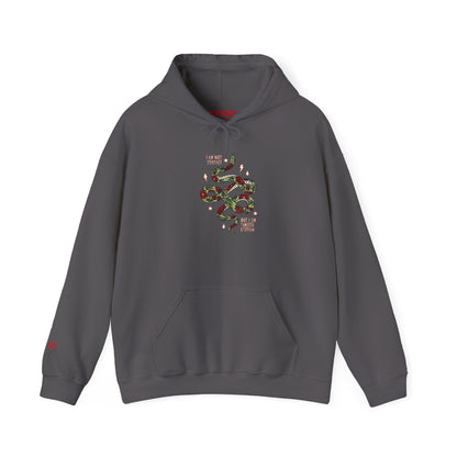 Trendy Unisex Hoodie, I Am Not Perfect Snake Design Shirt, Casual Wear, Gift for Nature Lovers, Eco-Friendly Fashion