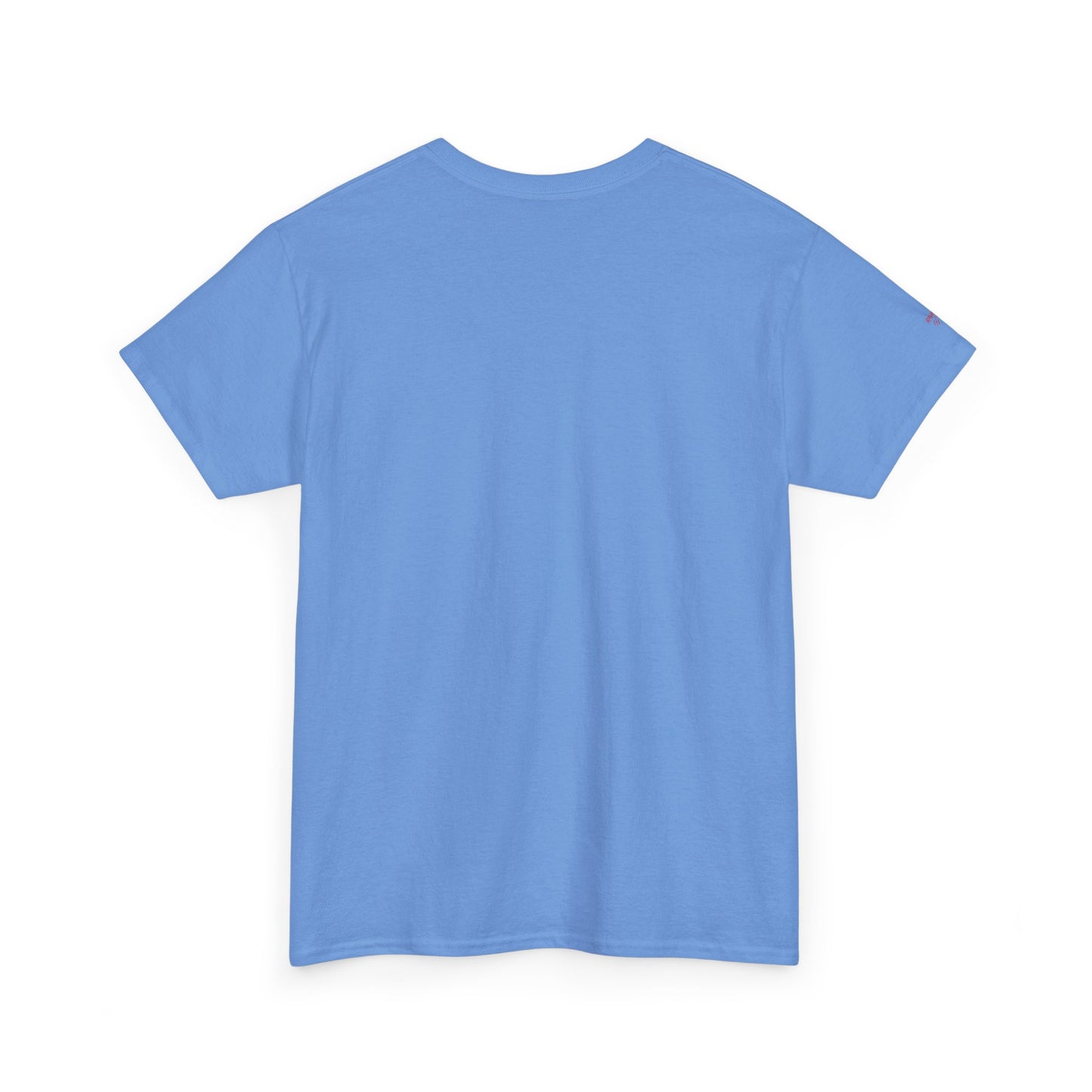 The Roles are Reversed- Are You Comfortable -Humorous Unisex Heavy Cotton Tee
