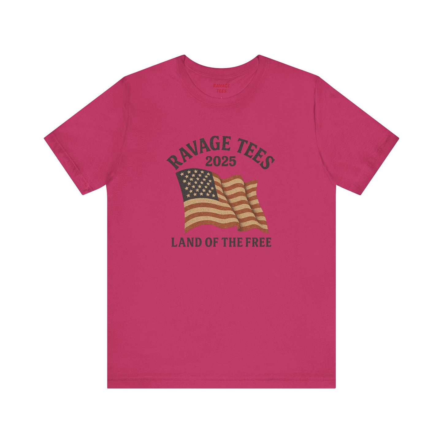 RaVage Vintage Tee: "Land of the Free"