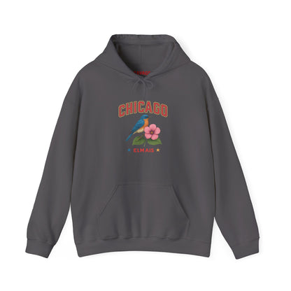 Chicago "The Windy City" Unisex Hoodie – Cozy Sweatshirt, Casual Travel Souvenir, Relaxed Streetwear Gift for Nature & City Lovers
