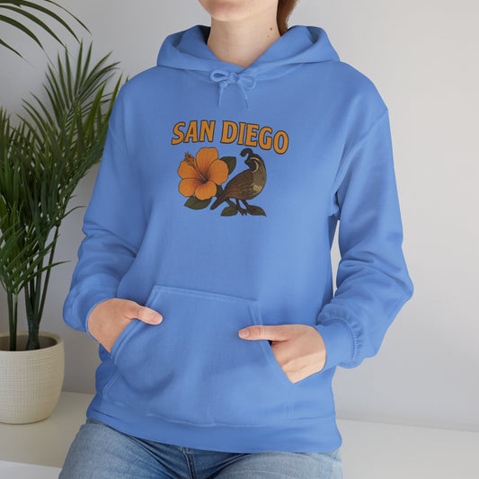 SAN DIEGO Unisex Hoodie – Cozy Sweatshirt, Casual Travel Souvenir, Relaxed Streetwear Gift for Nature & City Lovers