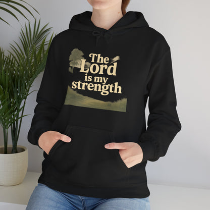 Faith-Inspired Hooded Sweatshirt, Cozy Christian Apparel, Gift for Believers, Inspirational Hoodie, Church Outing Wear