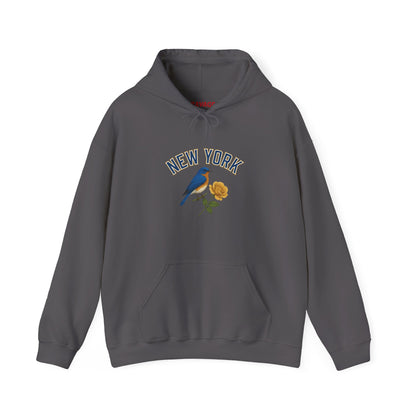 NEW YORK "THE EMPIRE STATE" Unisex Hoodie – Cozy Sweatshirt, Casual Travel Souvenir, Relaxed Streetwear Gift for Nature & City Lovers