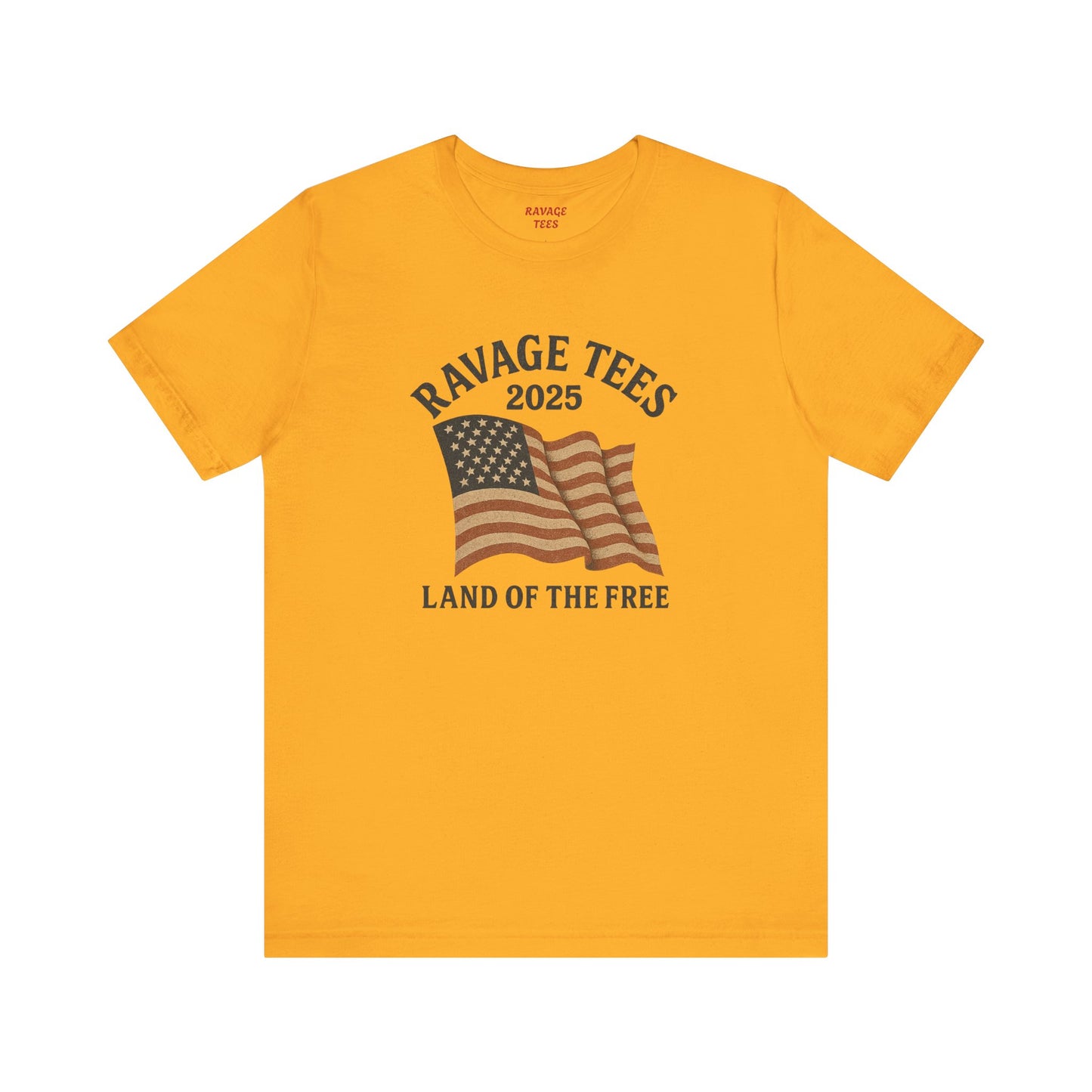 RaVage Vintage Tee: "Land of the Free"