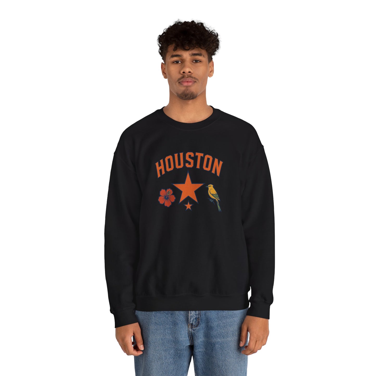 RAVAGE Houston(H-Town) Vibe Unisex Crewneck Sweatshirt