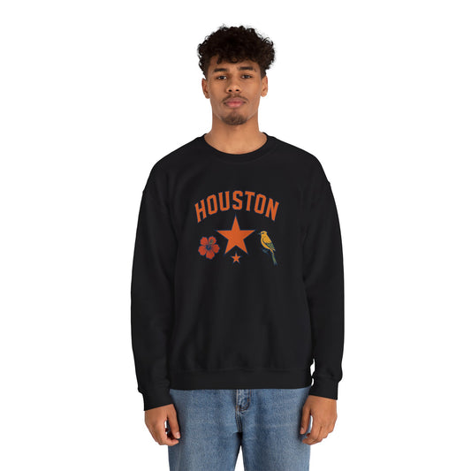 RAVAGE Houston(H-Town) Vibe Unisex Crewneck Sweatshirt