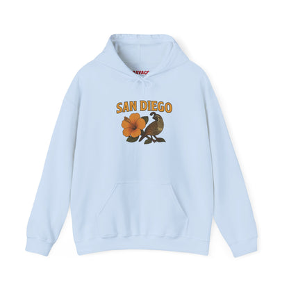 SAN DIEGO Unisex Hoodie – Cozy Sweatshirt, Casual Travel Souvenir, Relaxed Streetwear Gift for Nature & City Lovers