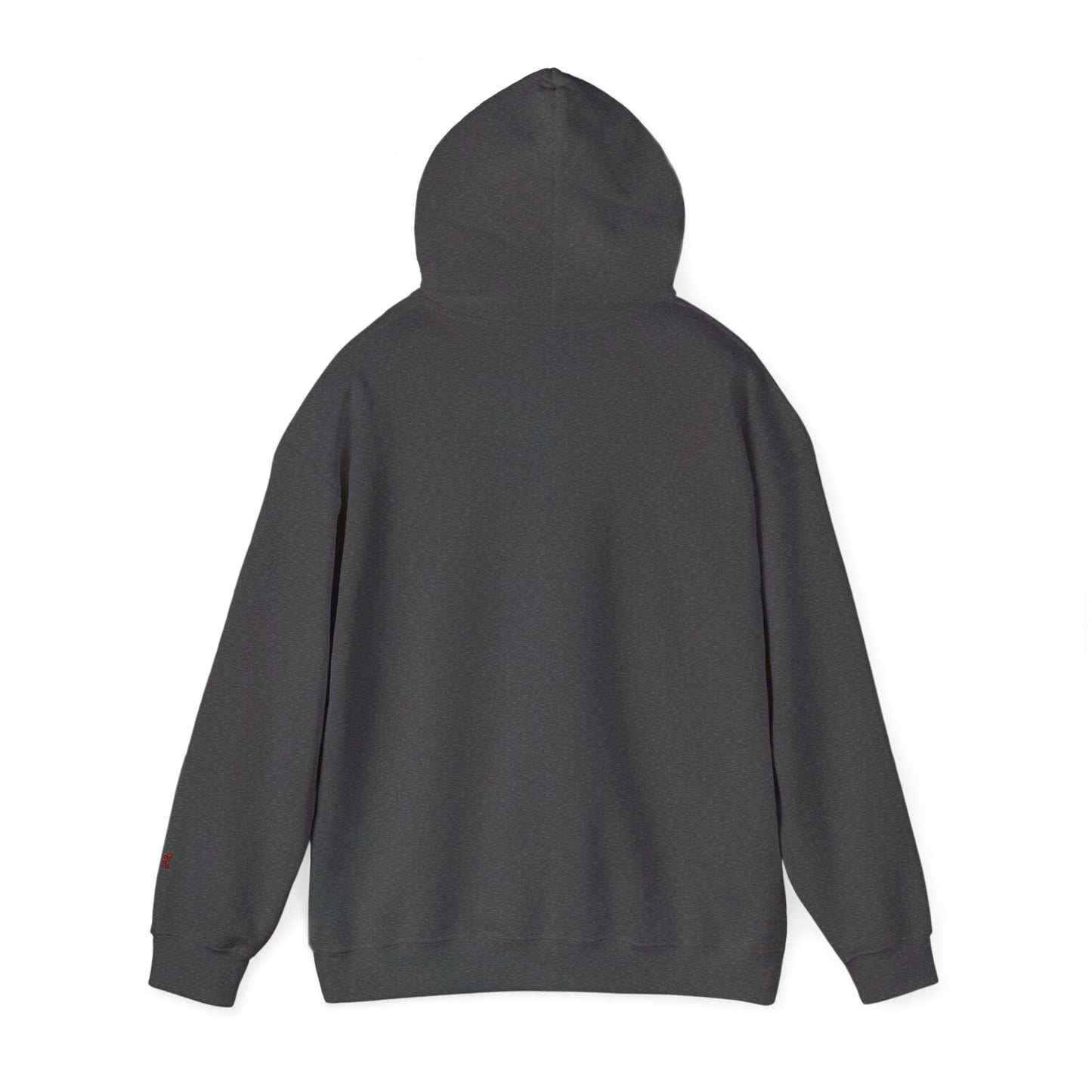 Shutt1eman Est. 2001 Hoodie — Minimal Vintage Logo Pullover