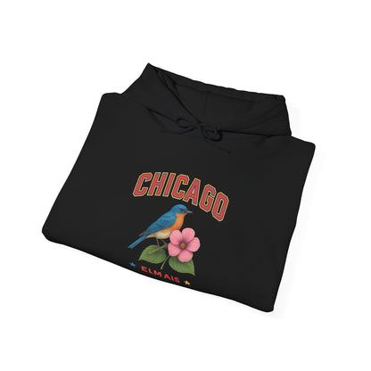 Chicago "The Windy City" Unisex Hoodie – Cozy Sweatshirt, Casual Travel Souvenir, Relaxed Streetwear Gift for Nature & City Lovers