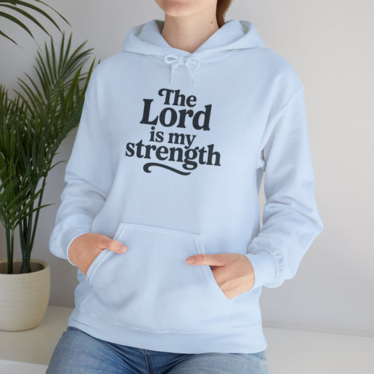 Faith-Inspired Hooded Sweatshirt, Cozy Christian Apparel, Gift for Believers, Inspirational Hoodie, Church Outing Wear