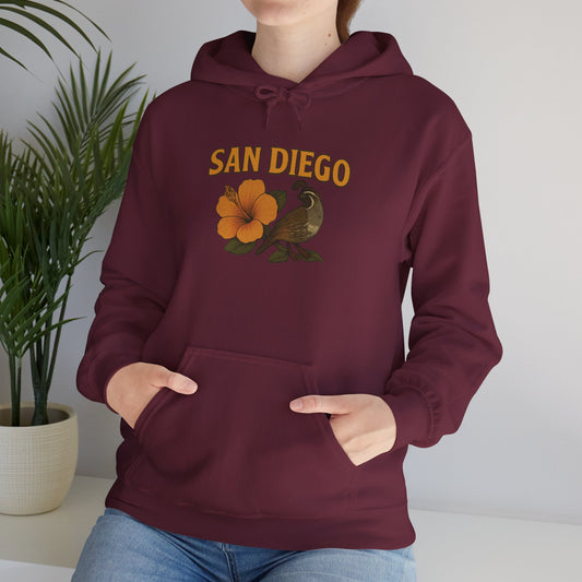 SAN DIEGO Unisex Hoodie – Cozy Sweatshirt, Casual Travel Souvenir, Relaxed Streetwear Gift for Nature & City Lovers
