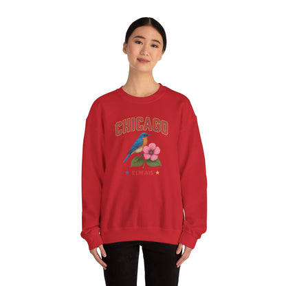 RAVAGE Chicago City Vibe Unisex Crewneck Sweatshirt