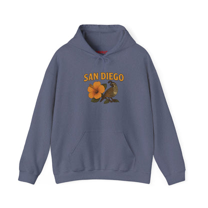 SAN DIEGO Unisex Hoodie – Cozy Sweatshirt, Casual Travel Souvenir, Relaxed Streetwear Gift for Nature & City Lovers