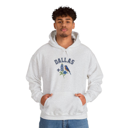 DALLAS Unisex Hoodie – Cozy Sweatshirt, Casual Travel Souvenir, Relaxed Streetwear Gift for Nature & City Lovers