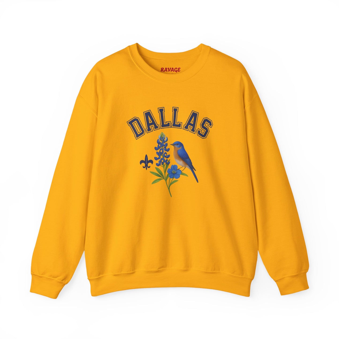 RAVAGE DALLAS - City Vibe Sweatshirt | Unisex Cardinal Crewneck, Cozy Fall Fashion, Casual Wear, Bird Lover Gift Idea