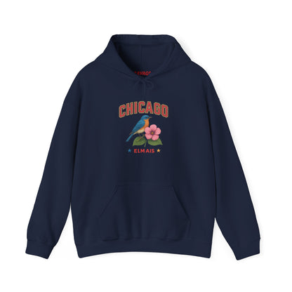 Chicago "The Windy City" Unisex Hoodie – Cozy Sweatshirt, Casual Travel Souvenir, Relaxed Streetwear Gift for Nature & City Lovers
