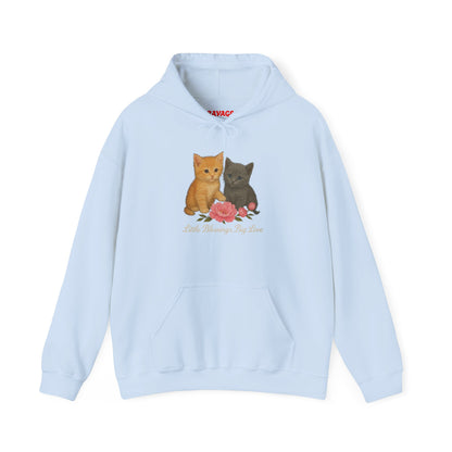 Kitten Pair Hoodie — "Little Sunshine, Big Purrs" Cute Cat Graphic Pullover