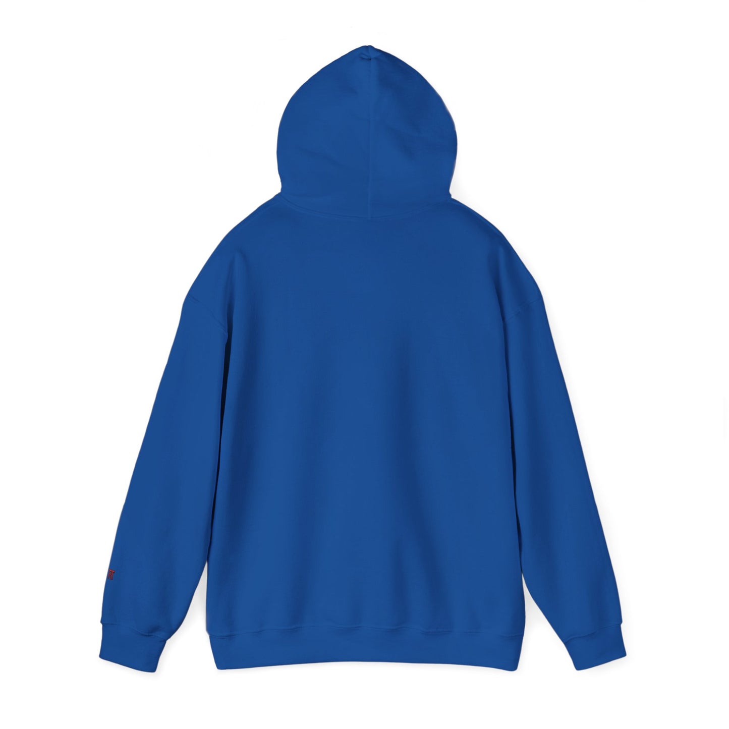 Shutt1eman Est. 2001 Hoodie — Minimal Vintage Logo Pullover