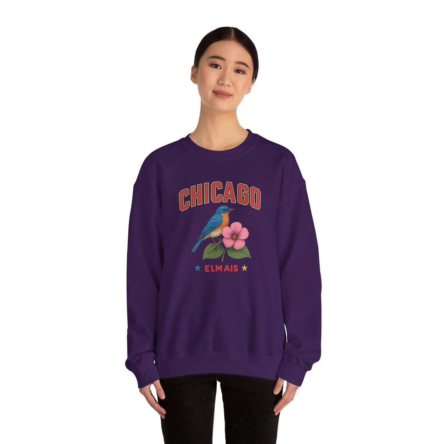 RAVAGE Chicago City Vibe Unisex Crewneck Sweatshirt