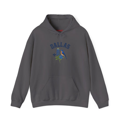 DALLAS Unisex Hoodie – Cozy Sweatshirt, Casual Travel Souvenir, Relaxed Streetwear Gift for Nature & City Lovers