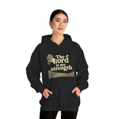 Faith-Inspired Hooded Sweatshirt, Cozy Christian Apparel, Gift for Believers, Inspirational Hoodie, Church Outing Wear