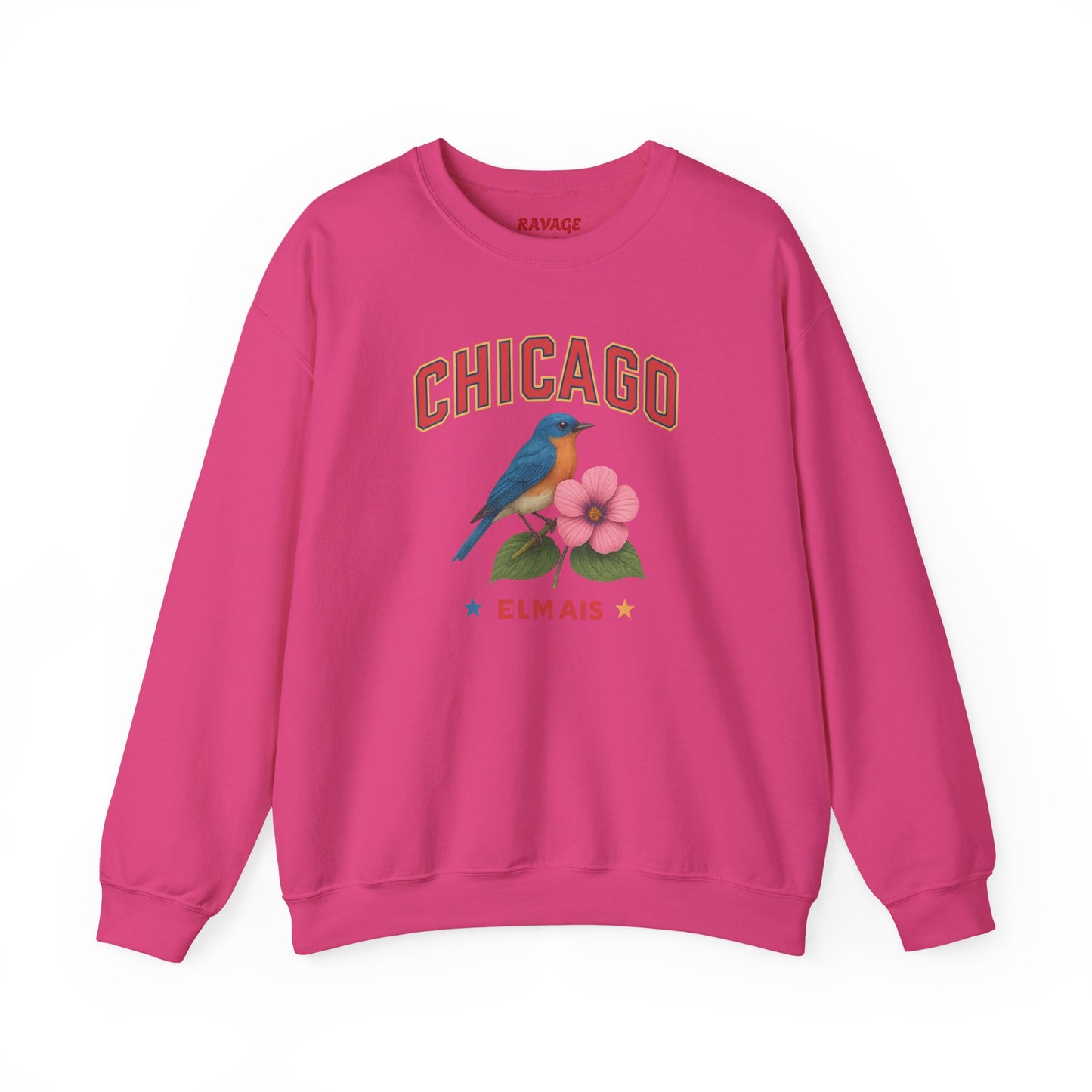 RAVAGE Chicago City Vibe Unisex Crewneck Sweatshirt
