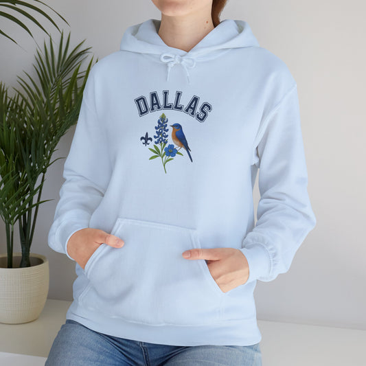 DALLAS Unisex Hoodie – Cozy Sweatshirt, Casual Travel Souvenir, Relaxed Streetwear Gift for Nature & City Lovers
